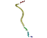 Cingulin Like Protein 1 (CGNL1)