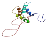 Coiled Coil And C2 Domain Containing Protein 1A (CC2D1A)
