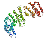 Cilia And Flagella Associated Protein 53 (CFAP53)