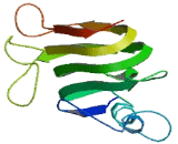 Coiled Coil Domain Containing Protein 120 (CCDC120)