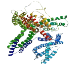 Cilia And Flagella Associated Protein 58 (CFAP58)