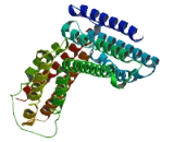 Coiled Coil Domain Containing Protein 154 (CCDC154)
