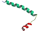 Coiled Coil Domain Containing Protein 23 (CCDC23)
