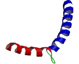 Coiled Coil Domain Containing Protein 34 (CCDC34)