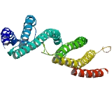 Coiled Coil Domain Containing Protein 42 (CCDC42)