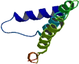 Coiled Coil Domain Containing Protein 47 (CCDC47)