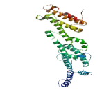 Coiled Coil Domain Containing Protein 51 (CCDC51)
