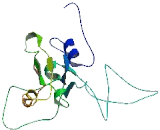 Coiled Coil Domain Containing Protein 53 (CCDC53)