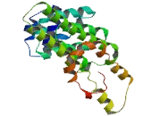 Coiled Coil Domain Containing Protein 54 (CCDC54)