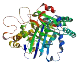 Coiled Coil Domain Containing Protein 63 (CCDC63)