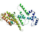 Bicaudal D Related Protein 2 (BICDR2)