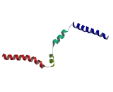 Coiled Coil Domain Containing Protein 66 (CCDC66)