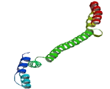 Coiled Coil Domain Containing Protein 68 (CCDC68)