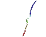 Coiled Coil Domain Containing Protein 7 (CCDC7)