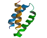 Coiled Coil Domain Containing Protein 70 (CCDC70)