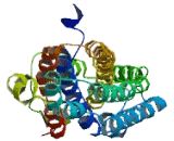 Coiled Coil Domain Containing Protein 74B (CCDC74B)