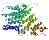 Coiled Coil Domain Containing Protein 79 (CCDC79)
