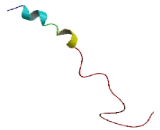 Coiled Coil Domain Containing Protein 8 (CCDC8)