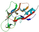 Coiled Coil Domain Containing Protein 85A (CCDC85A)