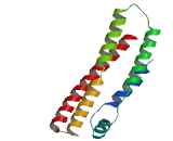 Coiled Coil Domain Containing Protein 85C (CCDC85C)