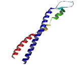 Coiled Coil Domain Containing Protein 99 (CCDC99)