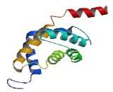 Coiled Coil Helix Coiled Coil Helix Domain Containing Protein 2 (CHCHD2)