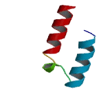 Coiled Coil Helix Coiled Coil Helix Domain Containing Protein 5 (CHCHD5)