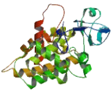 Cross GTPase Activating Protein (CrGAP)