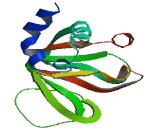 Cyclic Nucleotide Binding Domain Containing Protein 1 (CNBD1)
