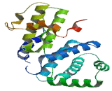 Cyclin N-Terminal Domain Containing Protein 2 (CNTD2)