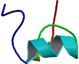 Cysteine/Histidine Rich Protein 1 (CYHR1)