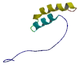 Cytochrome C Oxidase Assembly Protein 17 (COX17)