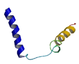 Cytochrome C Oxidase Assembly Protein 18 (COX18)