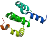 Cytochrome C Oxidase Subunit Va (COX5a)