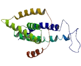 Cytochrome b-561 Domain Containing Protein 2 (CYB561D2)