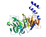 DDB1 And CUL4 Associated Factor 4 Like Protein 1 (DCAF4L1)