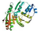 DEAD Box Polypeptide 3, Y-Linked (DDX3Y)