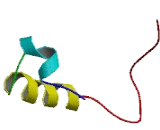 DENN/MADD Domain Containing Protein 1A (DENND1A)