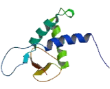 DEP Domain Containing Protein 1B (DEPDC1B)