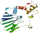 DNA Cross Link Repair 1B Protein (DCLRE1B)