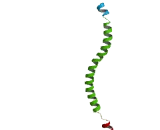 DPY30 Domain Containing Protein 1 (DYDC1)