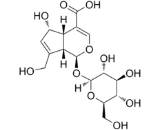 Deacetylasperulosidic Acid (DAA)