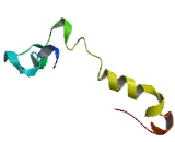 Degenerative Spermatocyte Homolog 1, Lipid Desaturase (DEGS1)