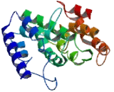 Deoxynucleotidyltransferase Terminal Interacting Protein 1 (DNTTIP1)