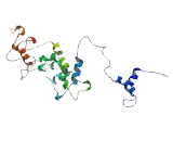 Dermal Papilla Derived Protein 6 (DERP6)