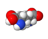 Diaminopimelic Acid (DAP)
