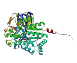 Collapsin Response Mediator Protein 5 (CRMP5)