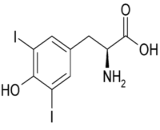 Diiodotyrosine (DIT)