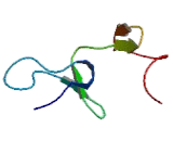 Divalent Metal Transporter 1 (DMT1)