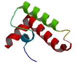 DnaJ/HSP40 Homolog Subfamily A, Member 4 (DNAJA4)